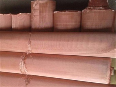 磷銅網(wǎng) 磷銅網(wǎng)